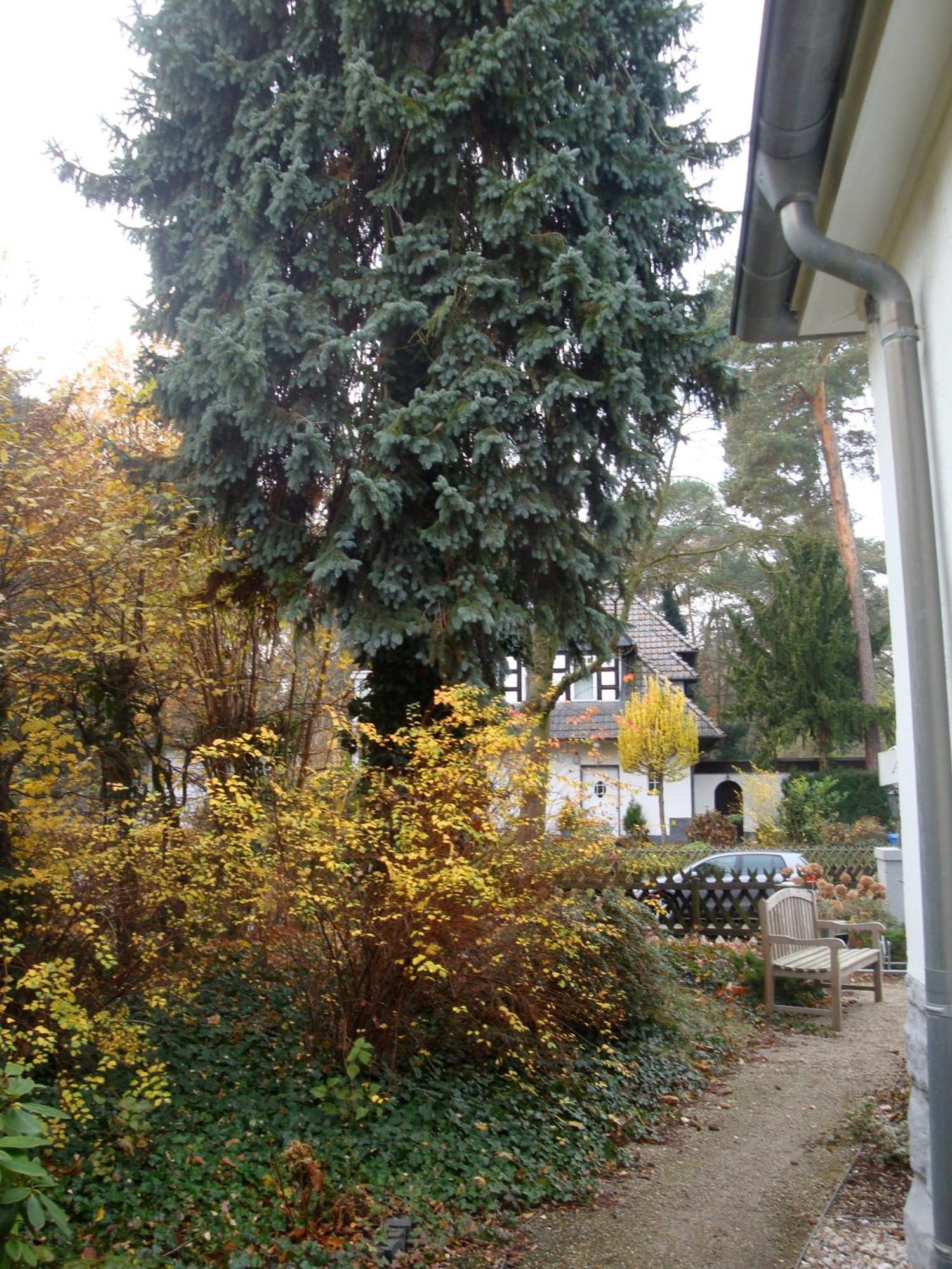 Affittacamere Schlachtensee Berlino
