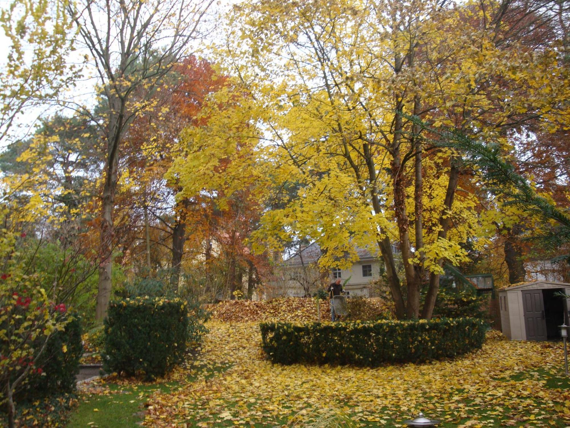 Landhaus Schlachtensee