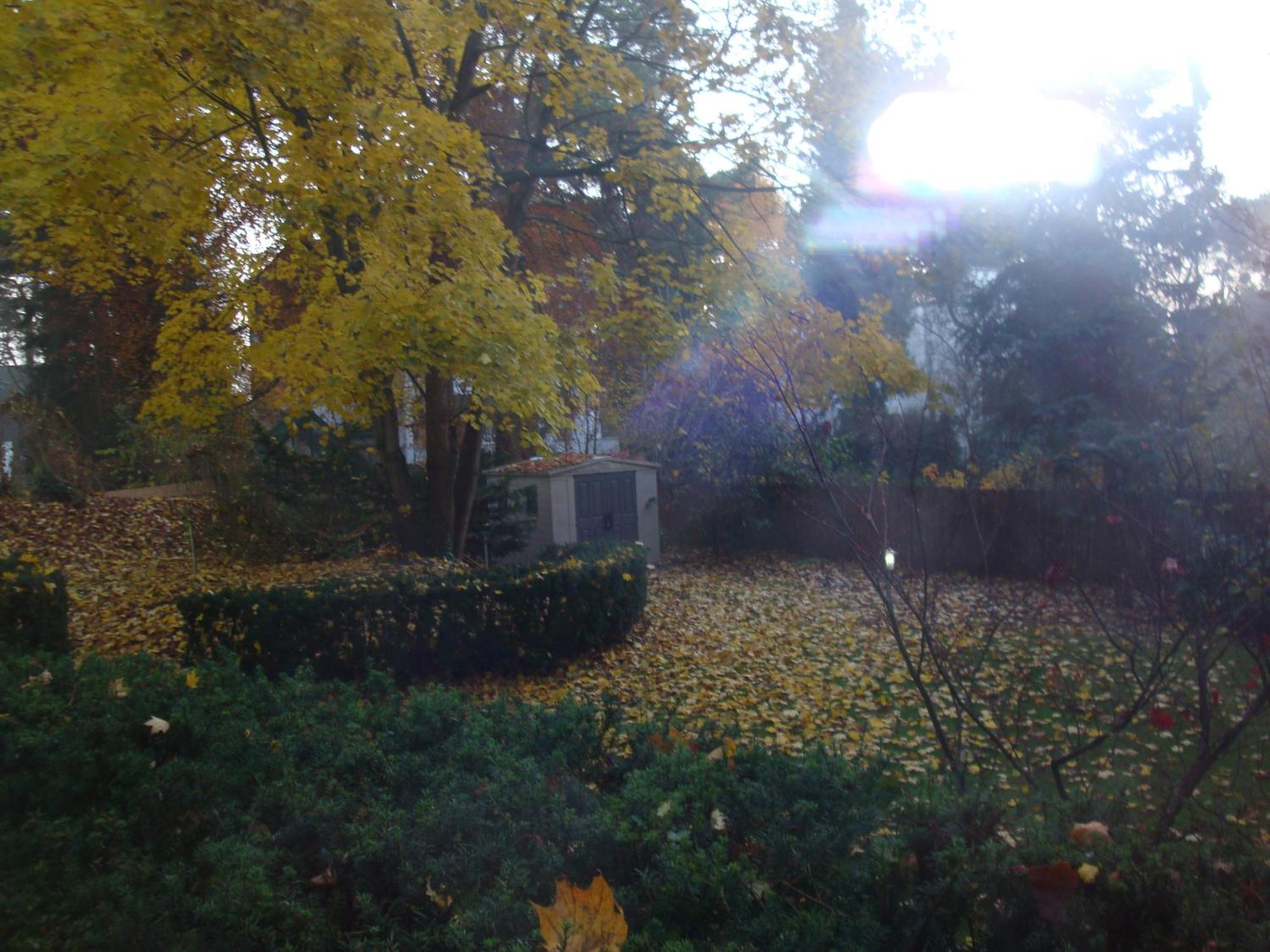 Affittacamere Schlachtensee