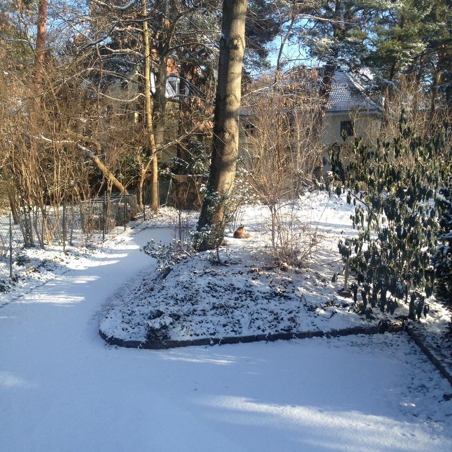 Affittacamere Schlachtensee